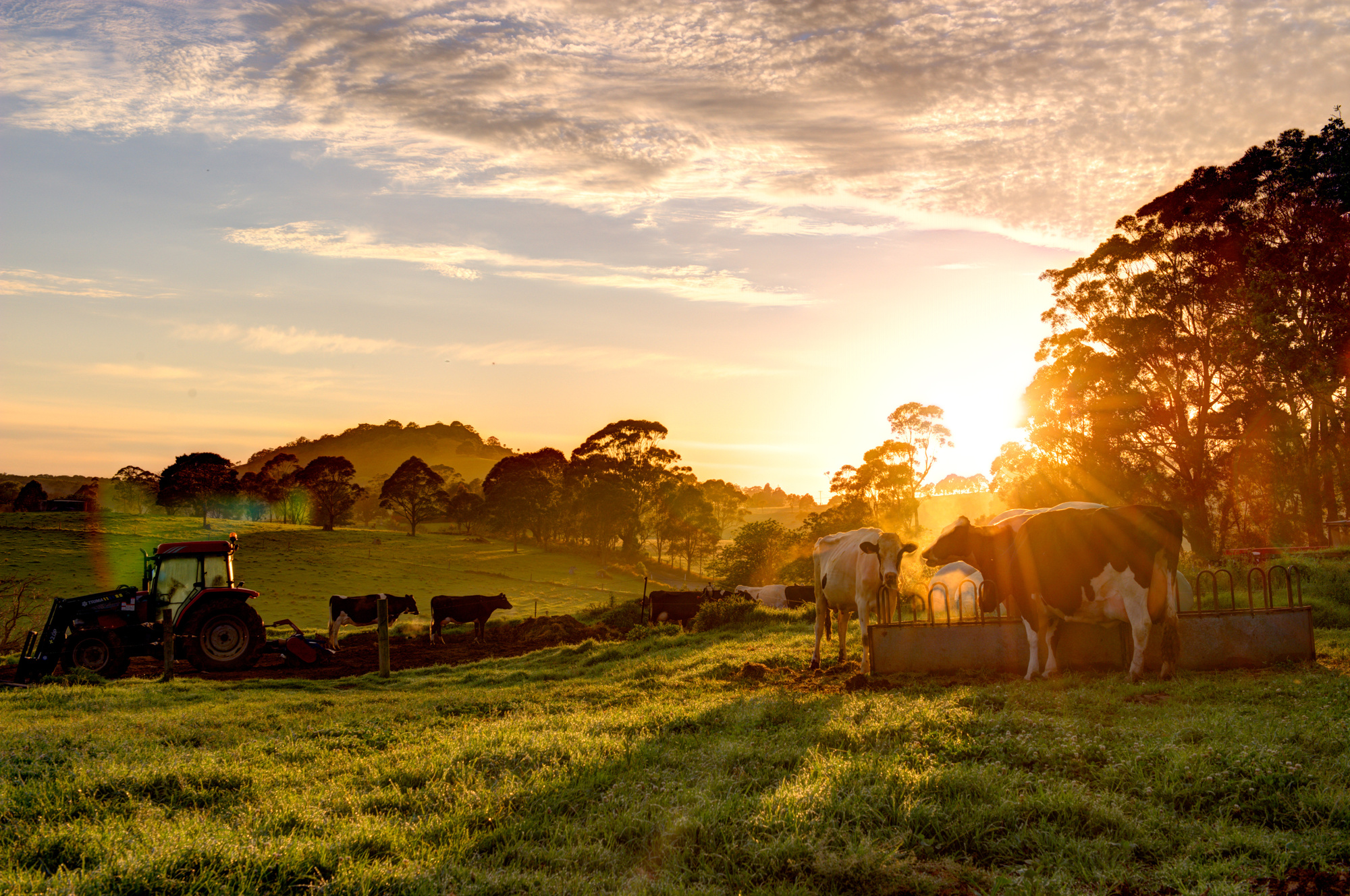 fazenda